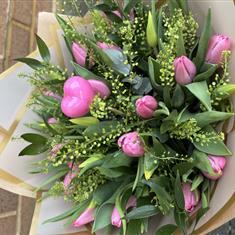 Just Because Tulips