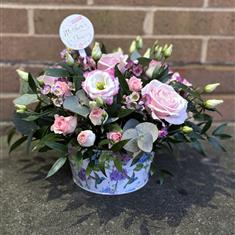 Just Because Arrangement 