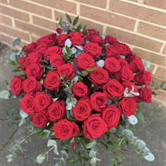 Loving you 50 Red Roses 
